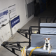 Illustration for article titled Study Shows Many Pet Car Safety Restraints To Be Unsafe